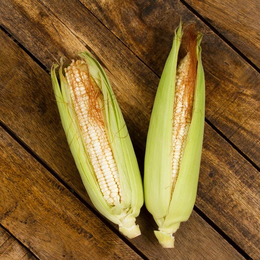 Elote Blanco - (pz)